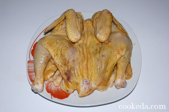 Домашний цыпленок на костре фото-04