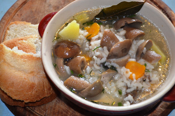 рецепт супа из белых грибов