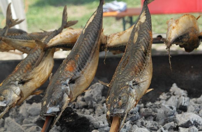 Шашлык из рыбы на мангале: топ-5 вариантов приготовления